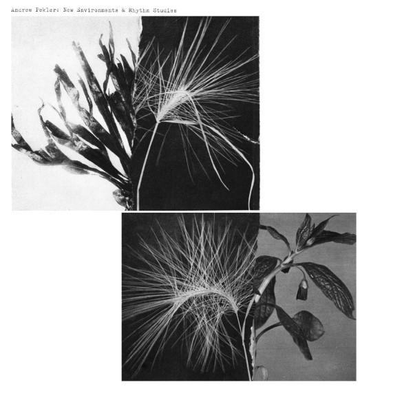 Andrew Pekler - New Environments & Rhythm Studies