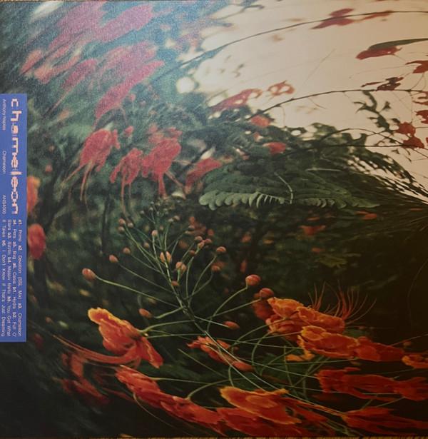 Anthony Naples - Chameleon