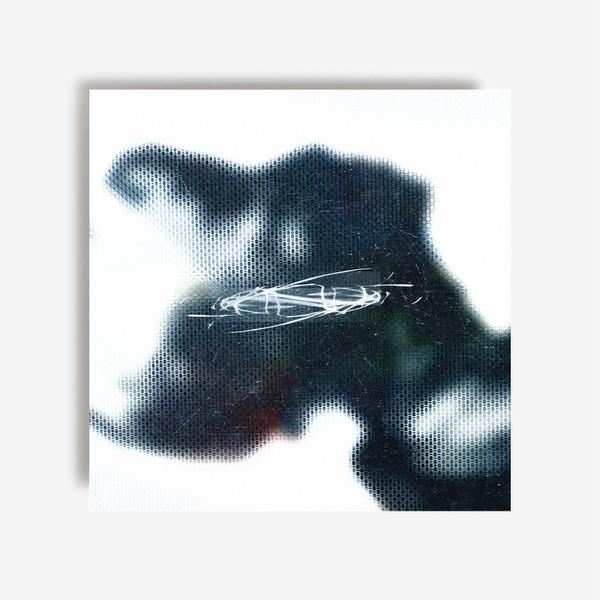 Conna Haraway - Spatial Fix
