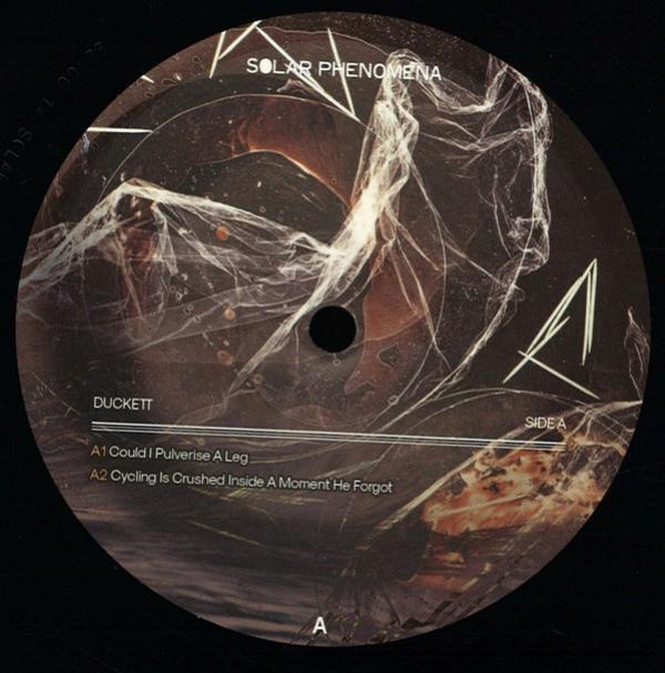 Duckett - Risks