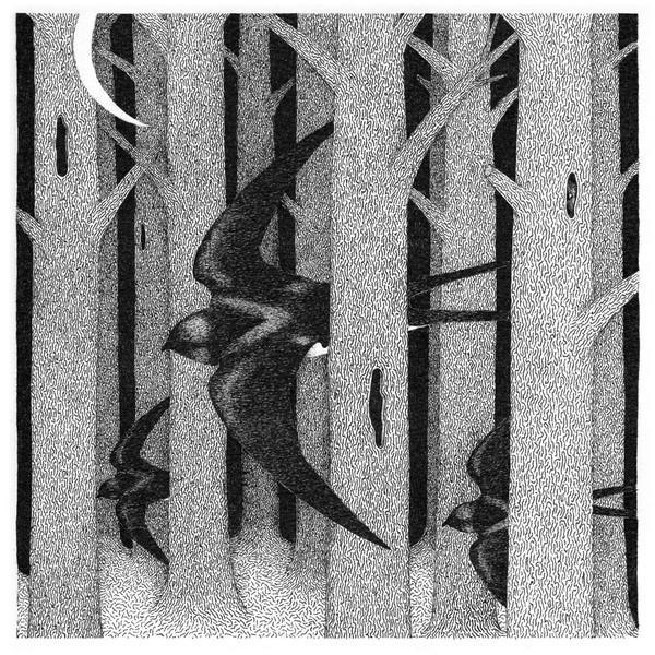 Silk Saw - Parallel Landscapes