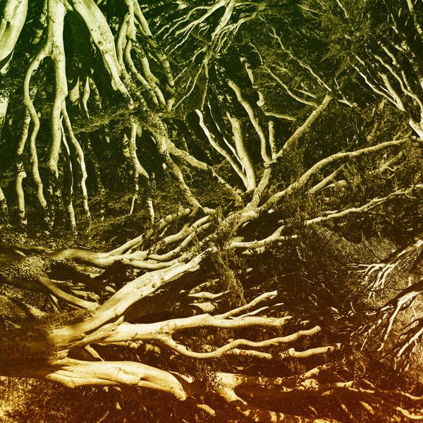 Various - Gottwax EP2