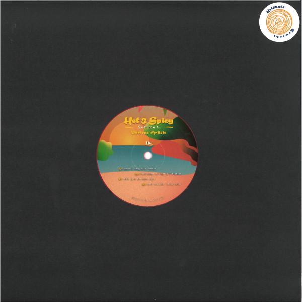 Various - Hot & Spicy Volume 5