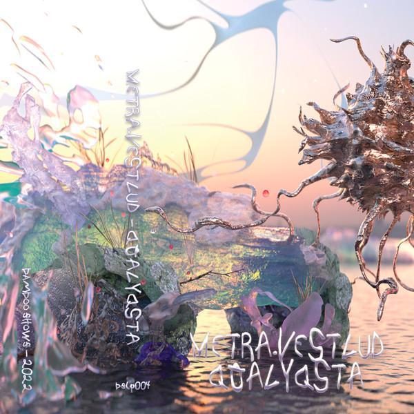 metra.vestlud - Coalyqsta